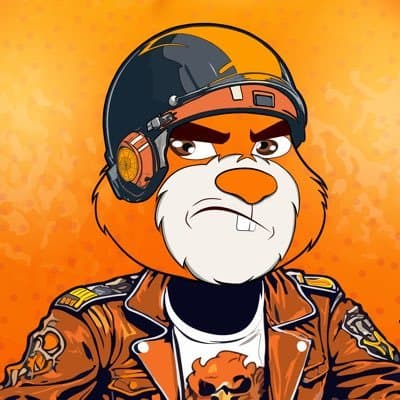 AlphaBearCHIEF avatar